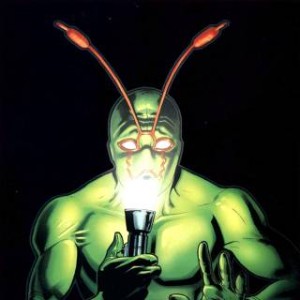 ambush bug
