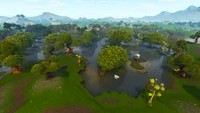 Moisty Mire