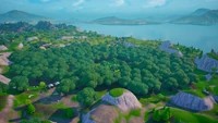 Wailing Woods
