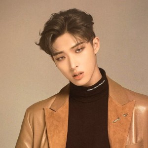 brown short on sides (2019)