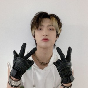 dark brown with blonde streaks (2022)