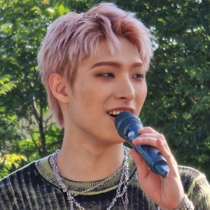 faded pink (2023)
