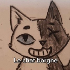 Chat Borgne