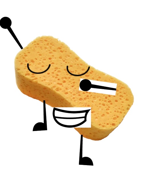 Sponge