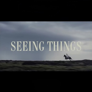 Seeing Things