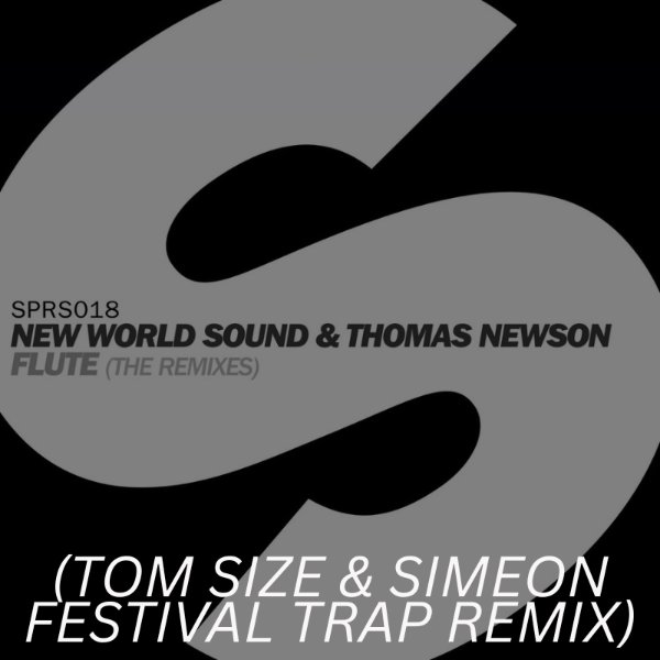 Flute (Tom Size Remix)