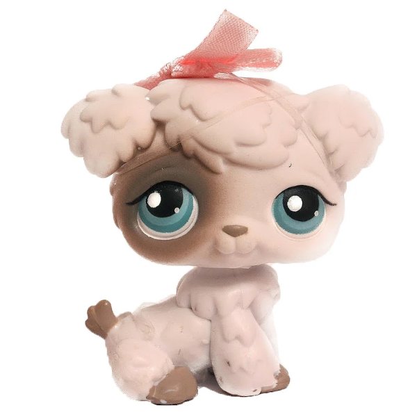 #204