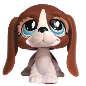 Basset hound #502