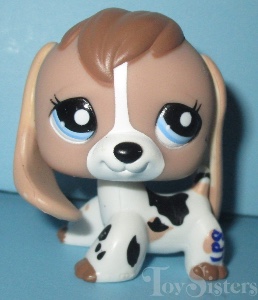 Beagle #2207