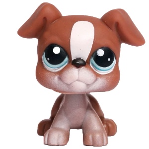 Boxer #083