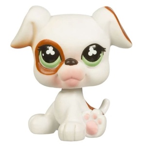 Boxer #738