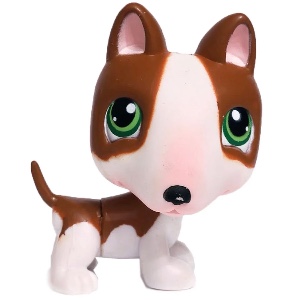 Bull terrier #154