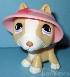 Bull terrier #860