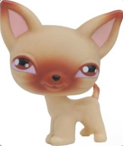 Chihuahua #1