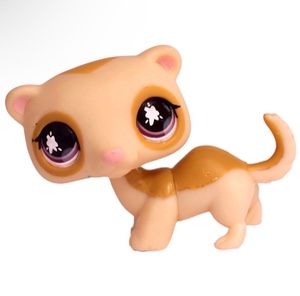 Ferret #653