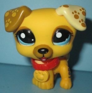 Jack Russel #1496