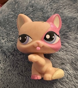 Paw up cat #1402