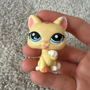 Paw up cat #1820