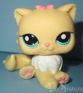 Persian cat #1503
