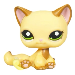 Shorthair sitting cat #2037