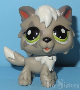 Timber wolf #148