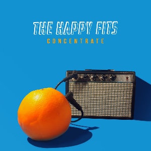 Concentrate - THE HAPPY FITS