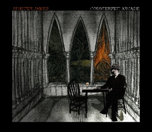 Counterfeit Arcade - SHAYFER JAMES