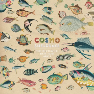 The How How Much Much And I - COSMO SHELDRAKE