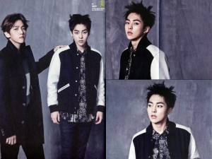 2015 (Chinese ver.)