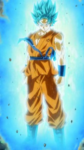 Super Saiyan God Super Saiyan (Super Saiyan Blue)