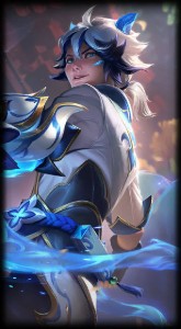 Porcelain Protector