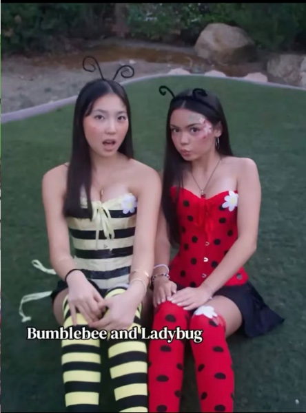 Ladybug and Bee