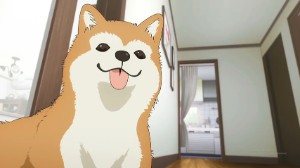 Jimihen