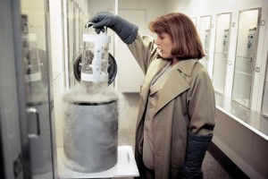 The Erlenmeyer Flask