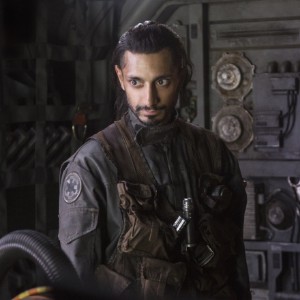 Bohdi Rook