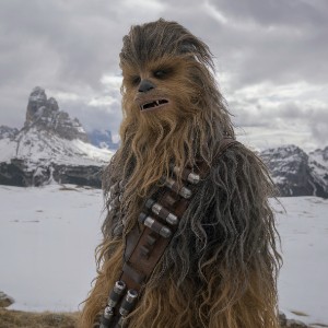 Chewbacca