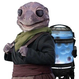Frog Lady