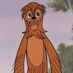 Jaccoba