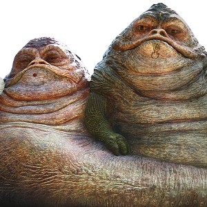 The Twins