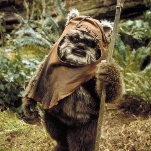Wicket W. Warrick
