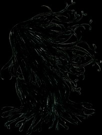 204px-Elsa-Maria-MagiReco-Transparent