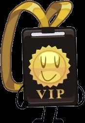 VIP Pass