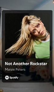 Not Another Rockstar