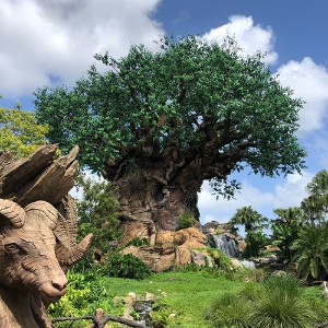 Discovery Island