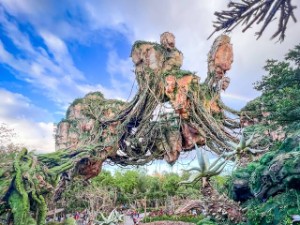 Pandora - The World of Avatar