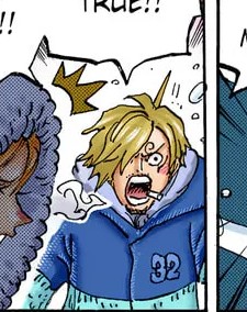 Blue coat