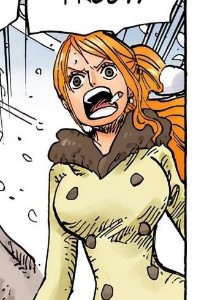 Tan coat (in Nami's body)