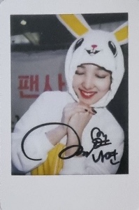 bunny costume