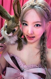 bunny plushie nayeon