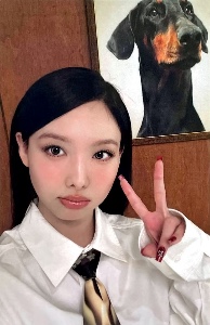 doberman nayeon